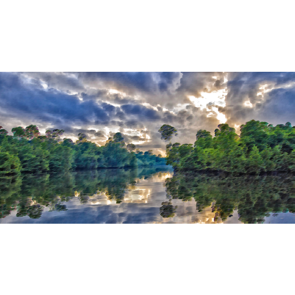 Surreal Indonesian Mangrove