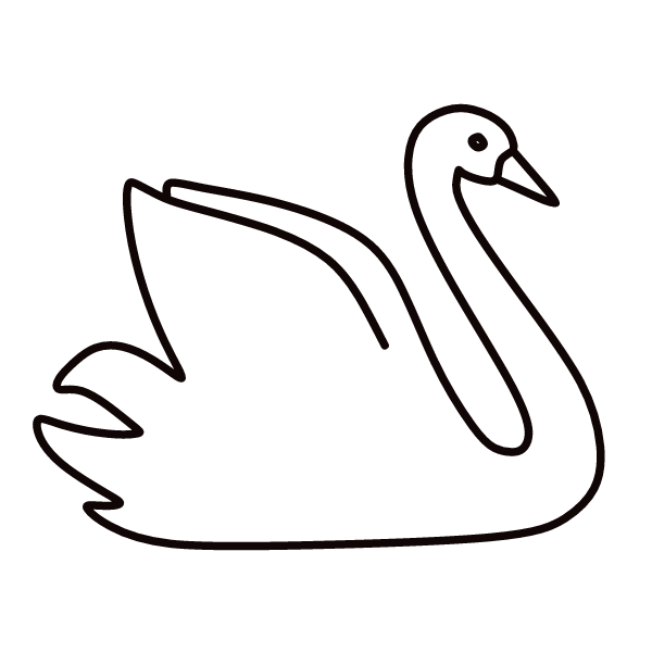 Swan IV