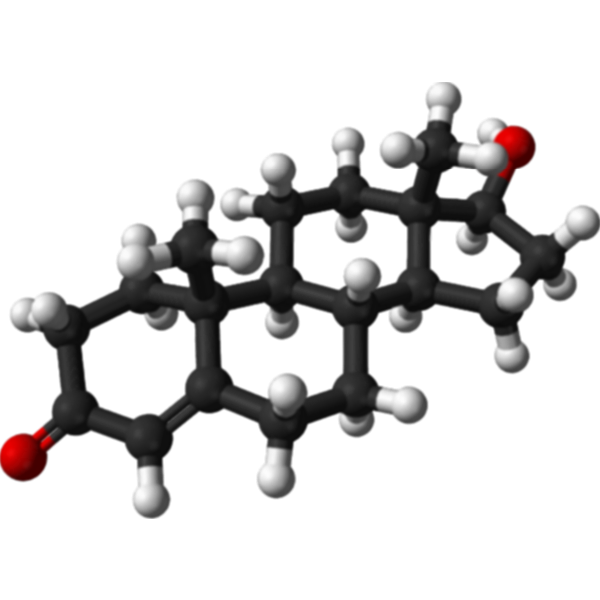 Testosterone molecule 3d