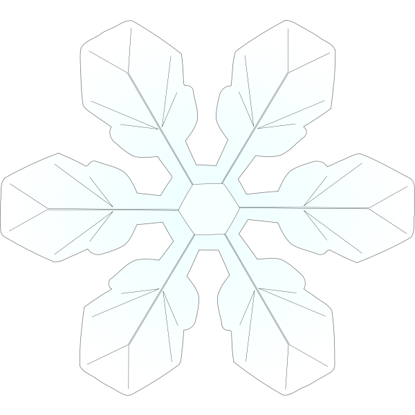 snowflake1