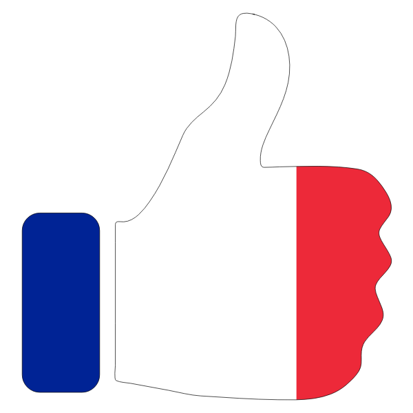 Thumbs up with French flag