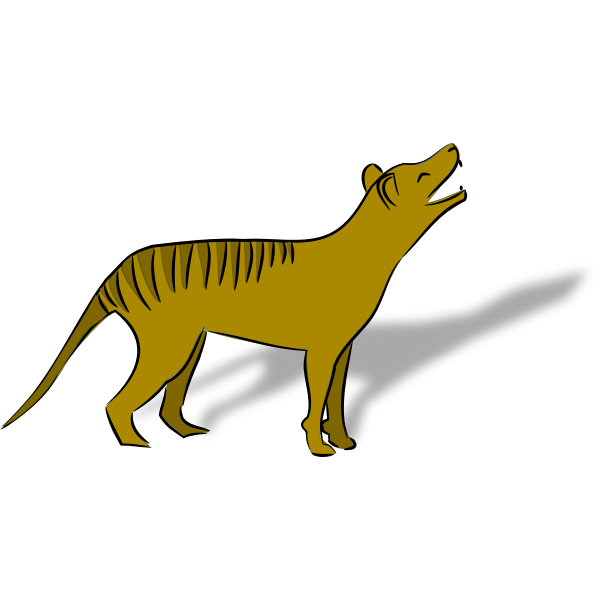 Thylacine