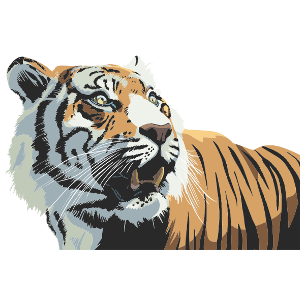 Tiger Head Illustration