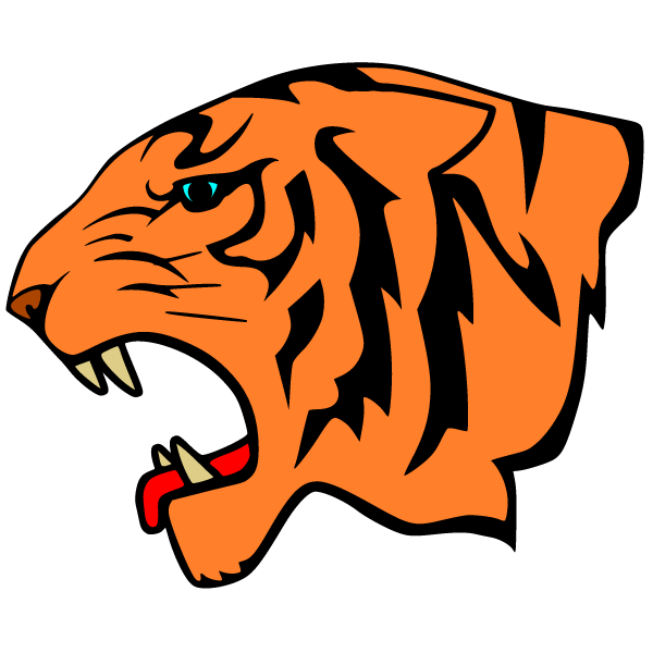 Tiger, head 2