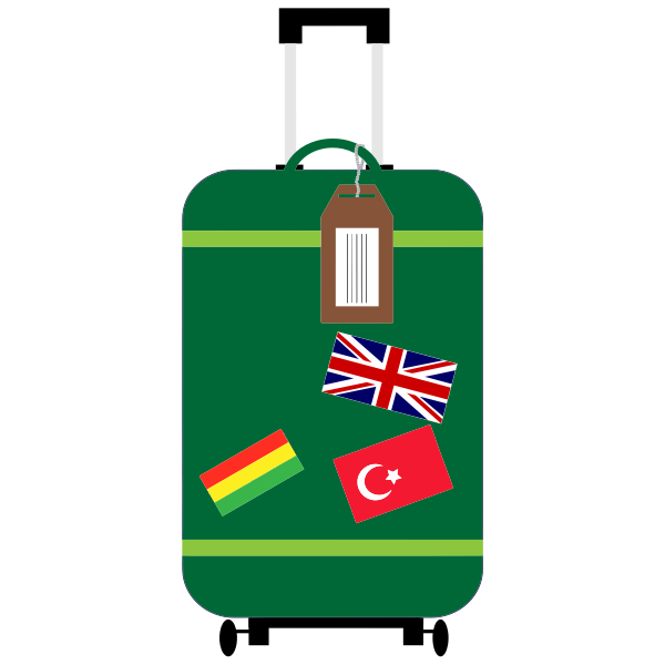 Travel Suitcase