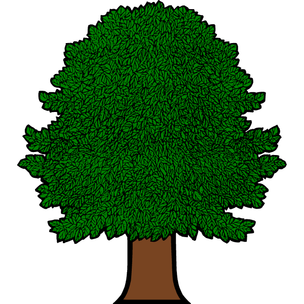 Tree 6a