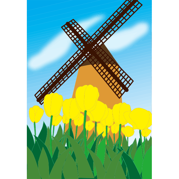 Tulips and windmill