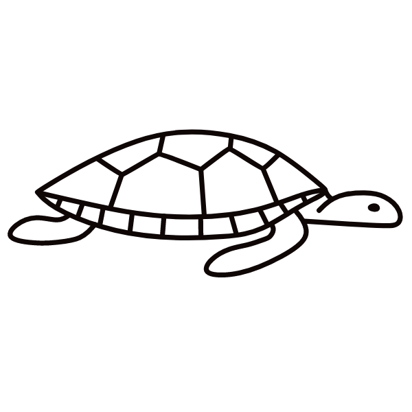Turtle VII