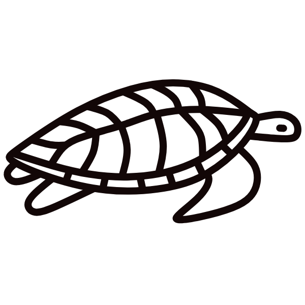 Turtle VI