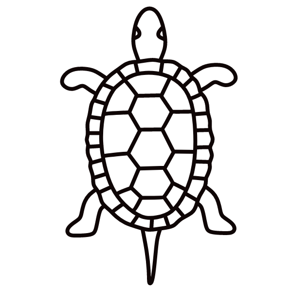 Turtle V