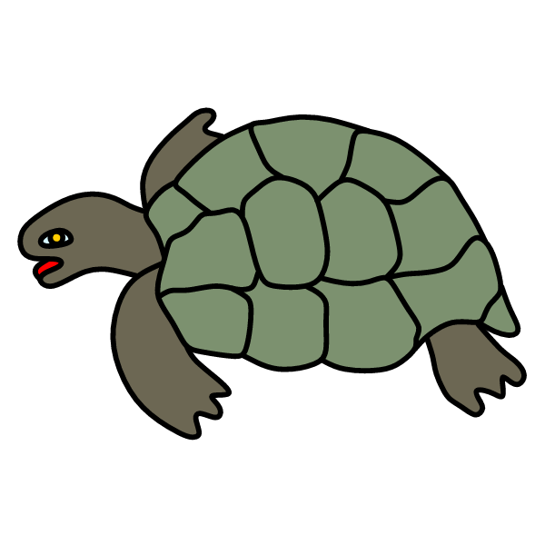 Turtle XII