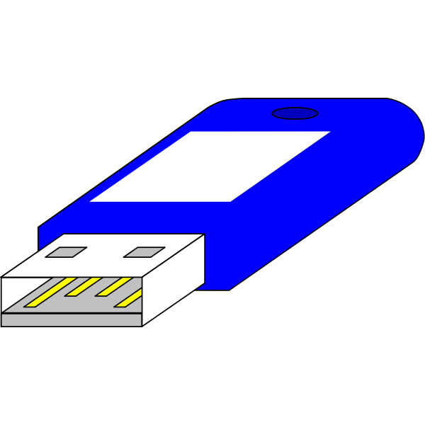 USB key from connector side vector image