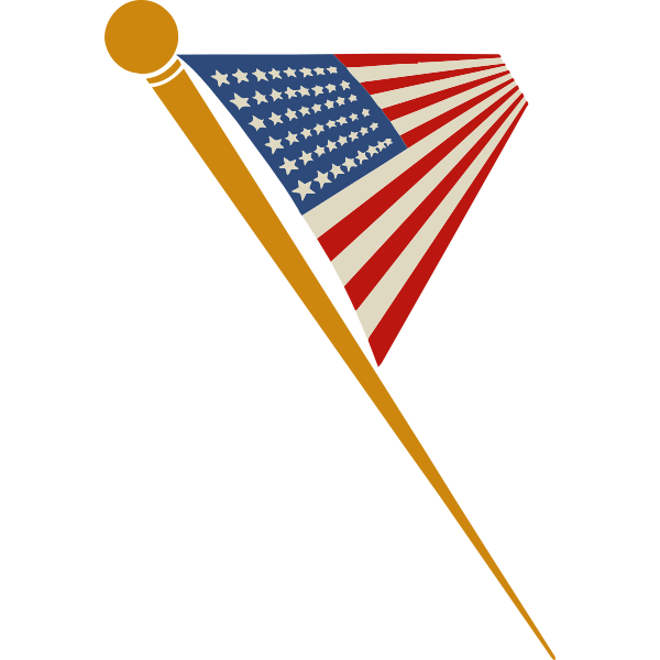 US flag on pin