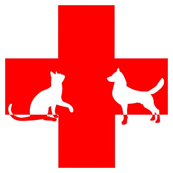 Veterinary First Aid