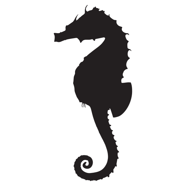 Vintage Seahorse Silhouette