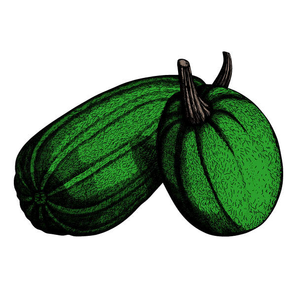 Watermelon II
