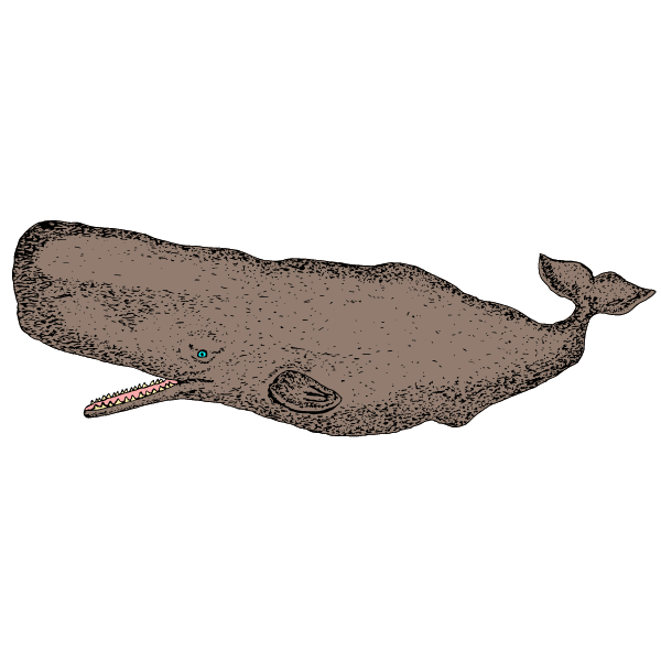 Whale IX