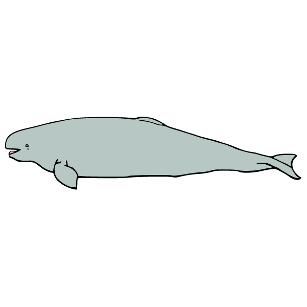 Whale I