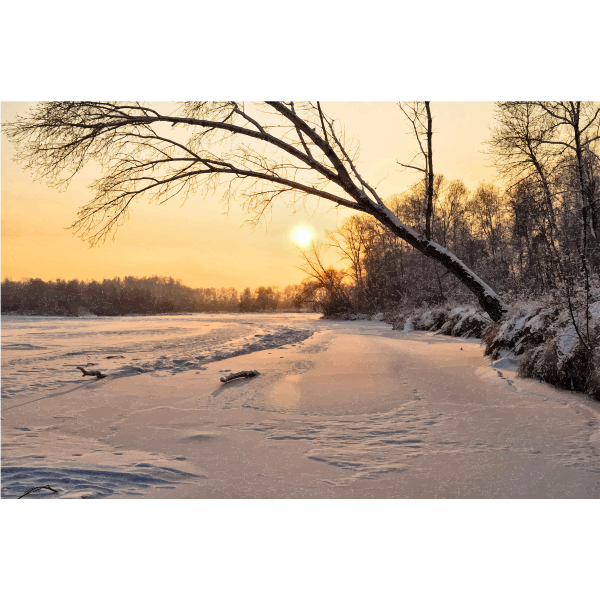 Winter Evening