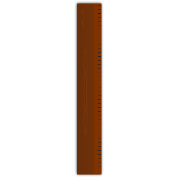 Wooden ruler vector image