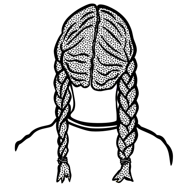 Braids image