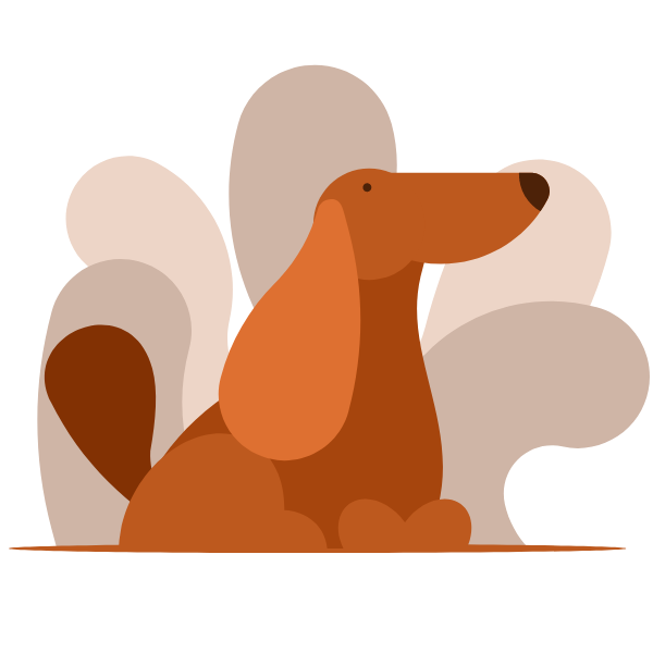 A cute dog