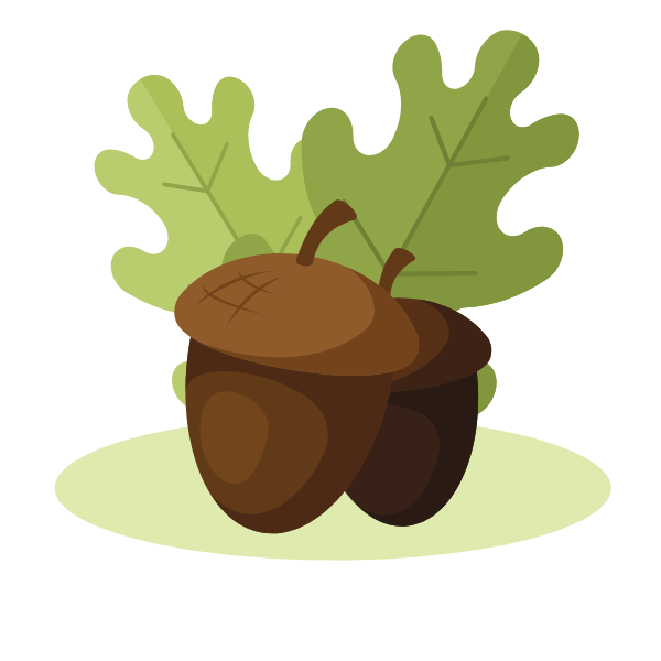 Acorns