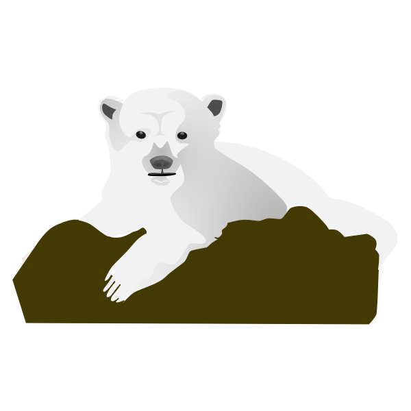 Polar bear vector image