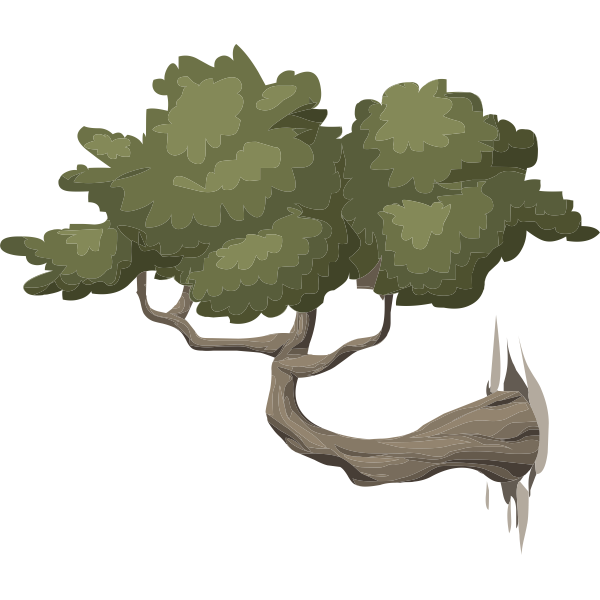 Bonsai