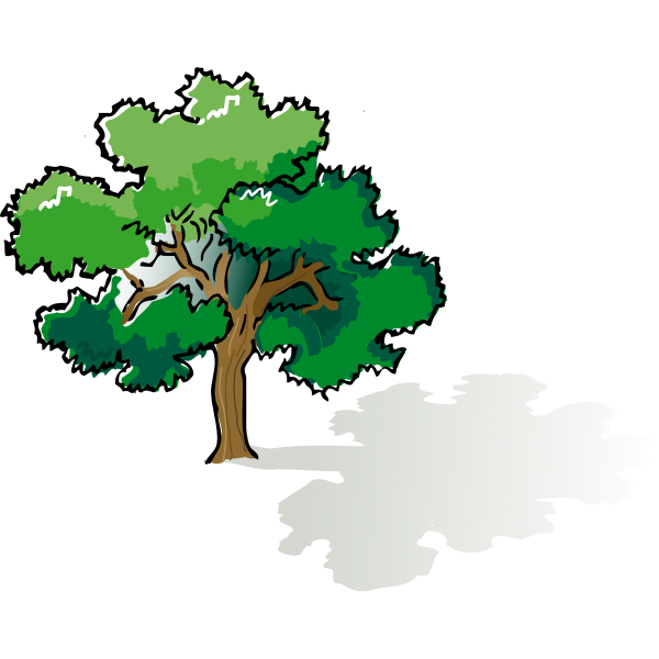 Vector clip art of colored oak tree