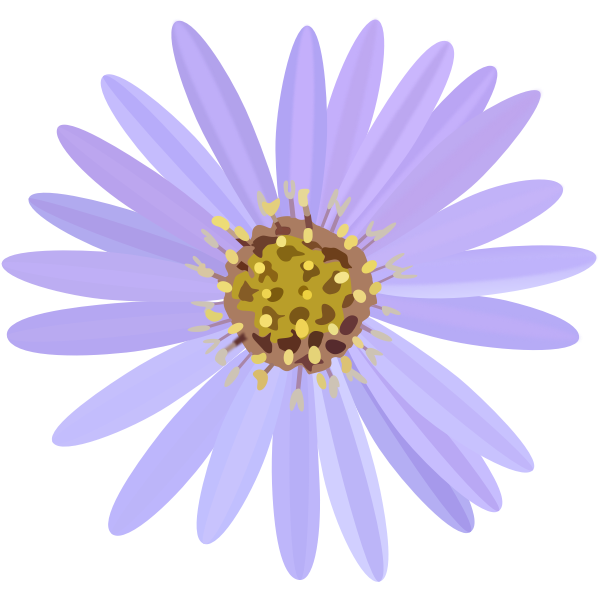 Aster-1574064050