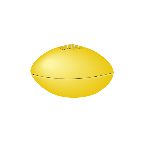 Aussie rules football ball vector image