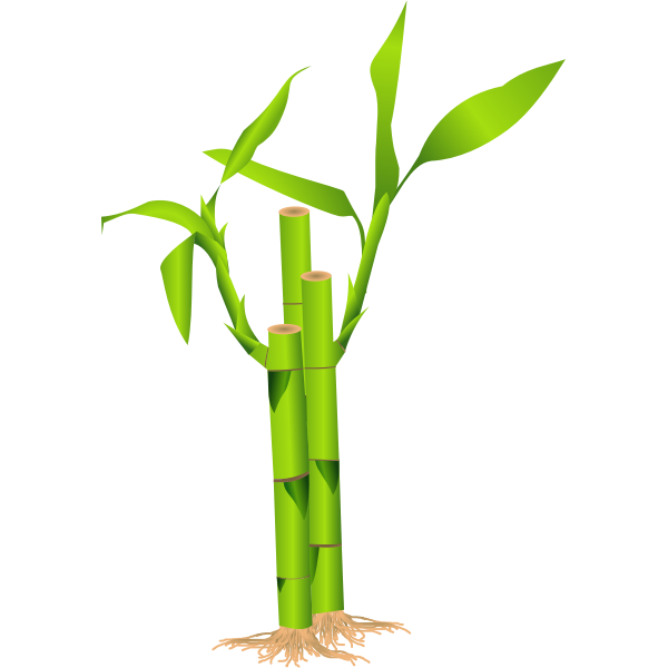 Closeup of bamboo stalk vector illustration