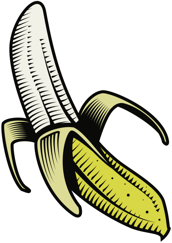 Banana vector image