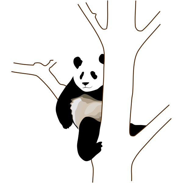 Panda on a tree