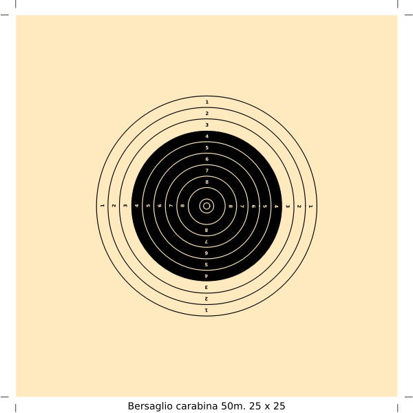 bersaglio carabina 50m 25x25