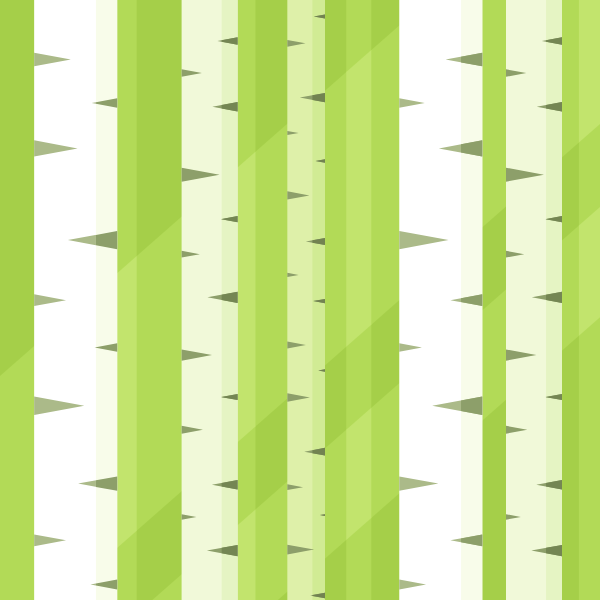 Birch trees