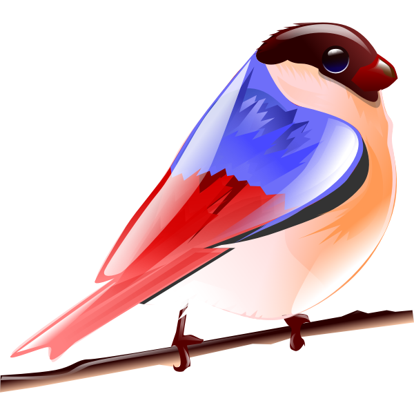 Vector image of colorful sparrow on a tree branch