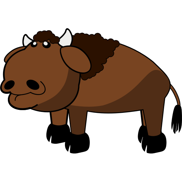 Wild bison