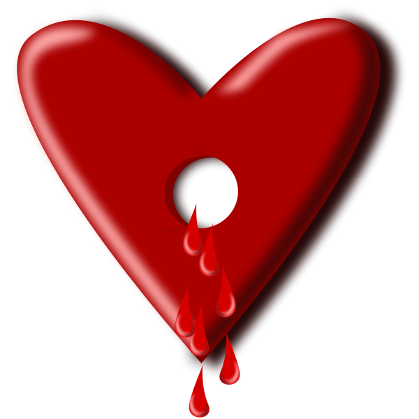 Hollow bleeding heart vector image