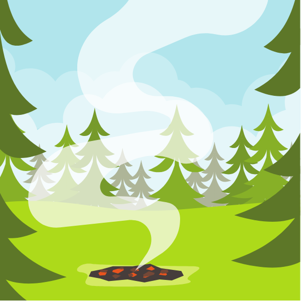 Bonfire in the forest