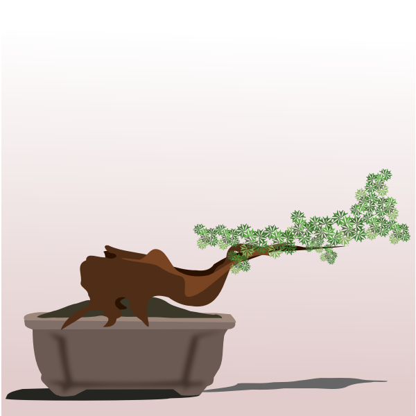 Bonsai tree-1624912434