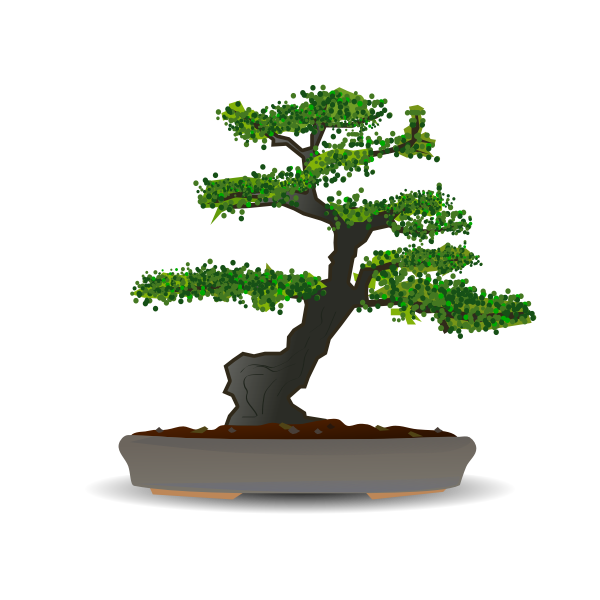 Bonsai tree vector drawing