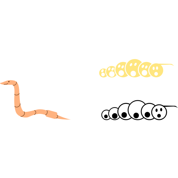 Worm