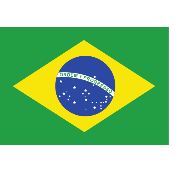 Flag of Brazil vector image