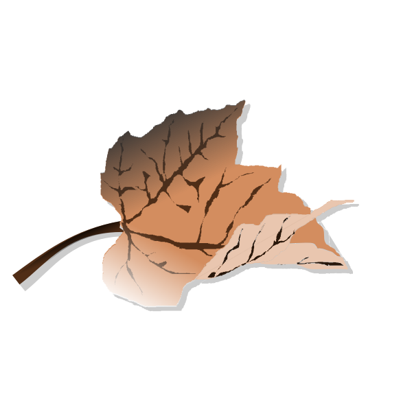 Brown autumn leaf vector clip art