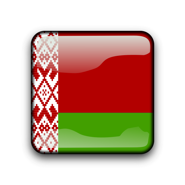 Belarus flag vector