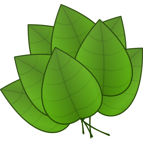 Leaves