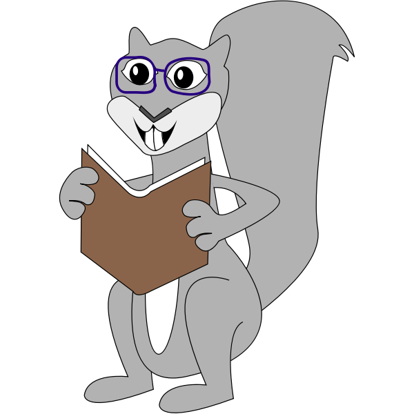 Cartoon squirrel  vector drawing