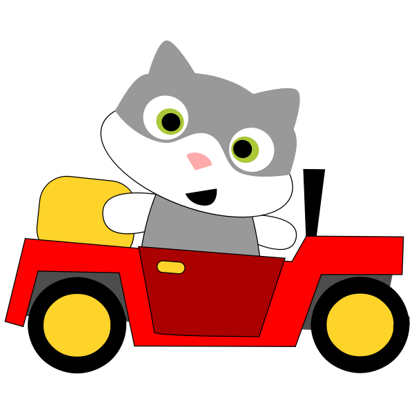 Cat driving a car